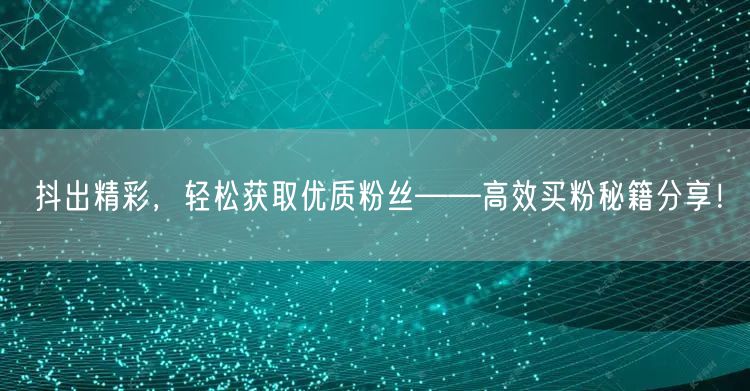 抖出精彩，轻松获取优质粉丝——高效买粉秘籍分享！